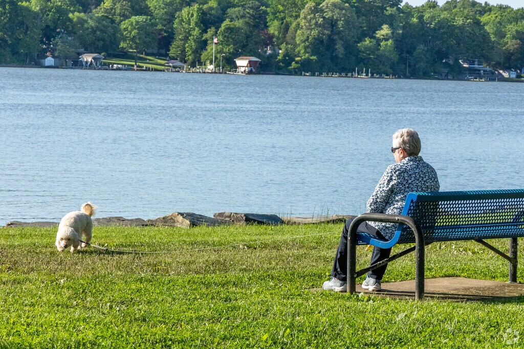 Pet owners often visit the Bush River near Riverside.