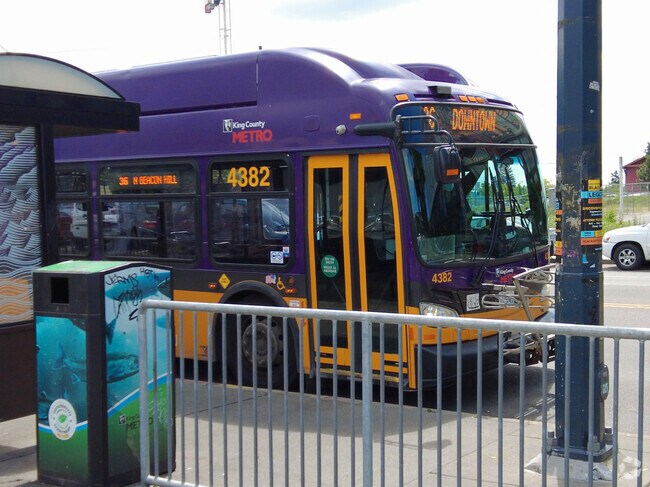There are plenty of transportation options in Brighton such as buses.