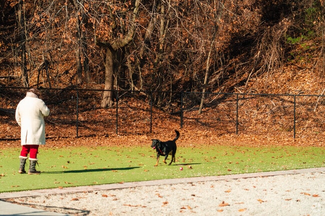 Stoneville residents love to take their dogs to the Town of Auburn Dog Park to socialize.