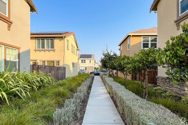Eden Shores neighborhood providing beautiful walking paths throughout the community.