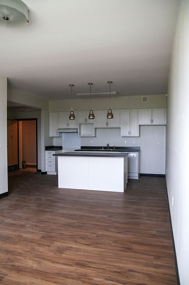 Hook and Ladder Apartments, Minneapolis, MN 55418 - photo 7