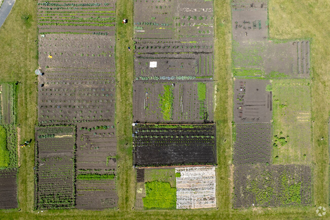 Community garden located between Primorose Farm Park sports fields and the farm.