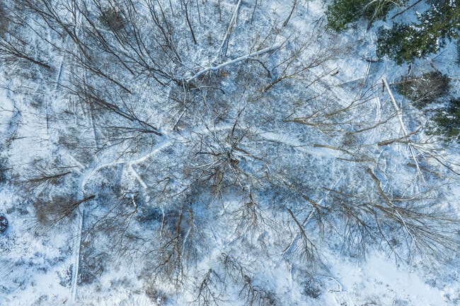 No matter the time of year, Milton residents can find solace along the trails one may choose to travel.