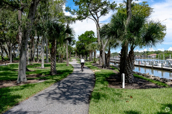 Mountain Biking is a popular recreational activity in Palm Coast.