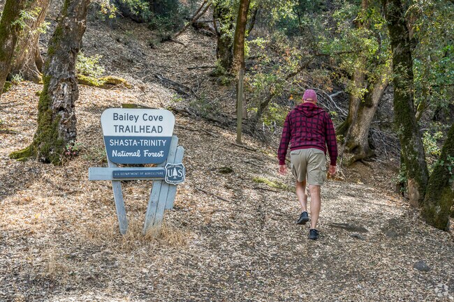 There are some hiking trails around Shasta Lake near Pine Grove.
