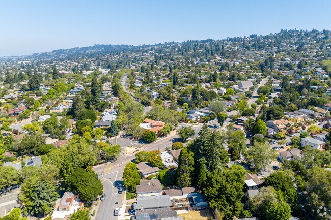 Winding streets and tall mature shade trees are hallmarks of Northbrea.