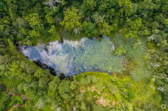 There are nearly 1,600 acres to hike in nearby Severn Run Natural Environment.