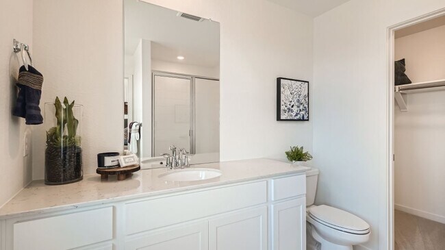 7846 Miners Camp Way, Colorado Springs, CO 80908 - photo 7