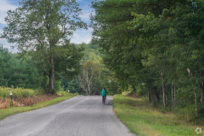 The road going through Oak Ridge Multiple Use Area offers stunning views of the forest.