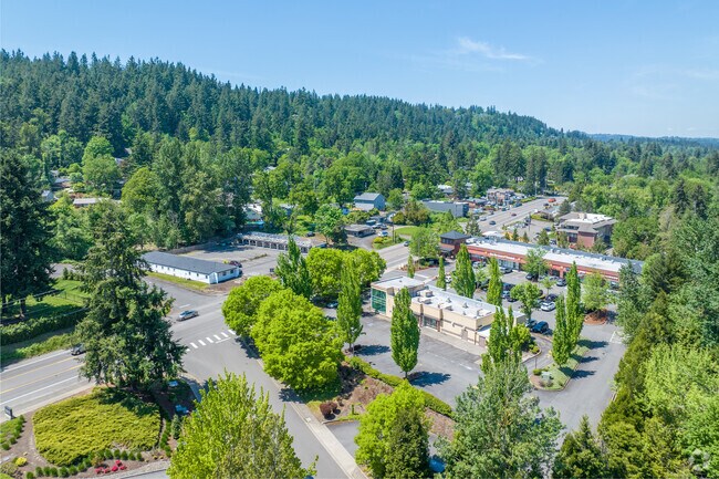 West Linn Shopping Center sits adjacent to Robinwood’s residential blocks.
