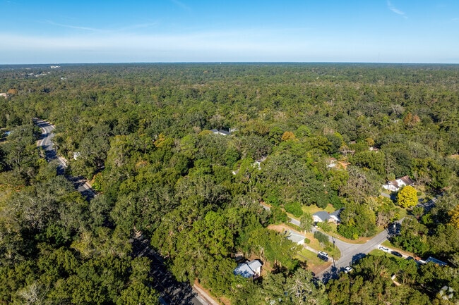 Mature trees throughout Black Acres provide privacy among neighbors.