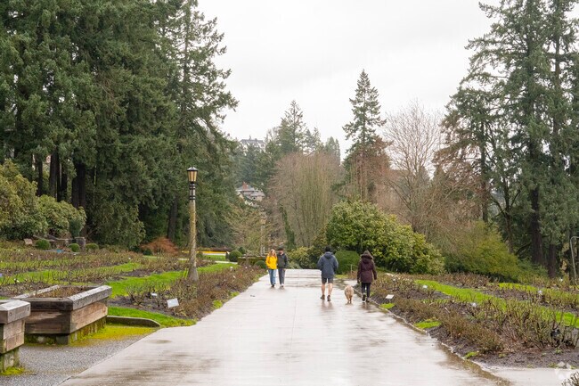 Arlignton Heights residents enjoy walking through the International Rose Test Garden .