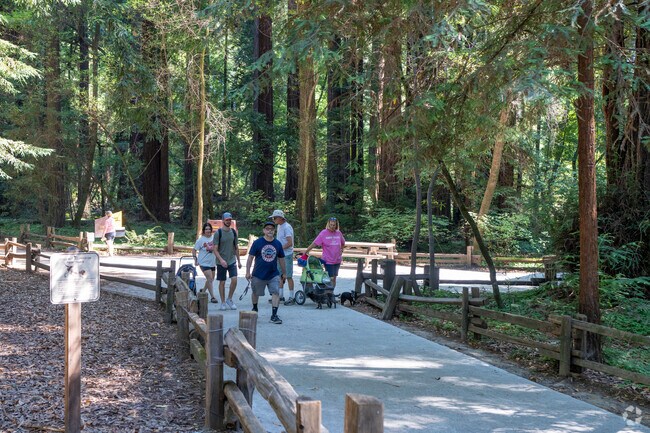 Just 15 miles inland, Henry Cowell Redwoods Park draws families for camping and hiking.