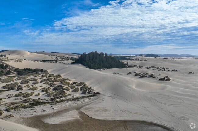 ATV riding is very popular in the Oregon dunes.