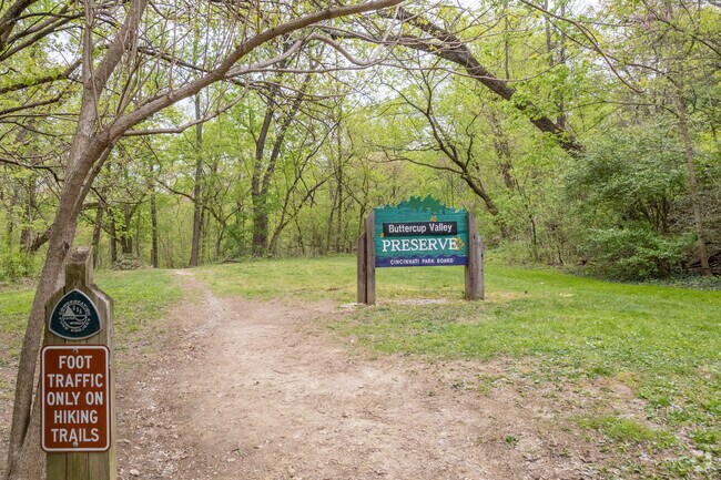 Buttercup Valley Preserve is home to some of Northside's oldest trees.