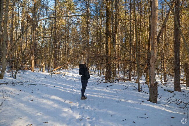 There are numerous trails around Ashburnham for locals and visitors to enjoy.