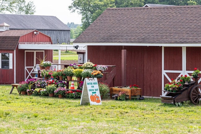 Brown's Harvest is one of several farms in Windsor where you can buy fresh produce.