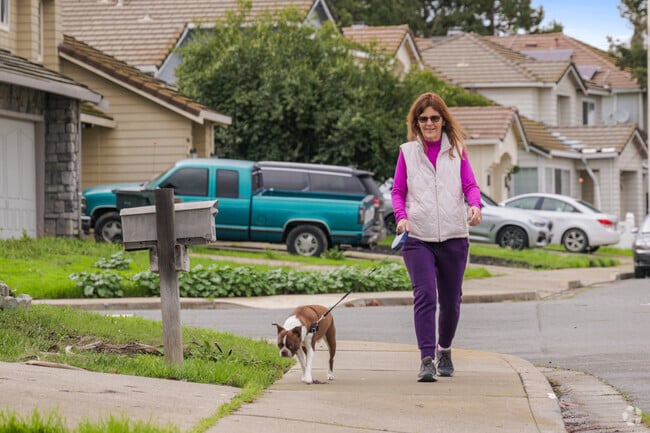 A serene dog walk moment captured in Country Hills.
