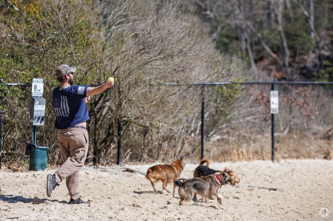 The dog beach at Quiet Waters Park in Highland Beach is a great spot to play with your pup.
