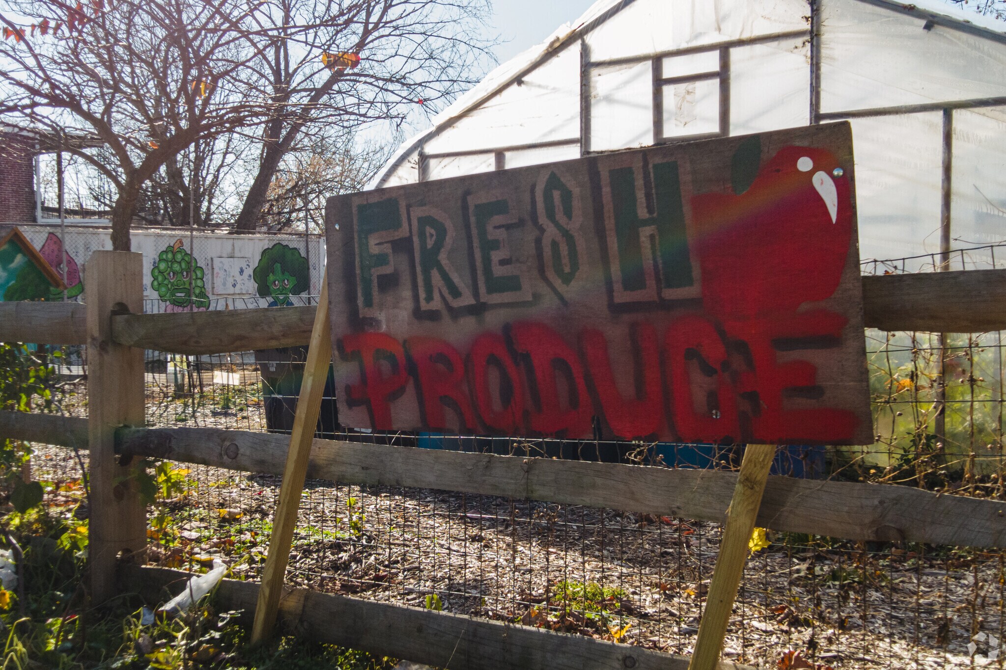 The community of Vandever Ave contributes to the bountiful Conscious Connection garden.