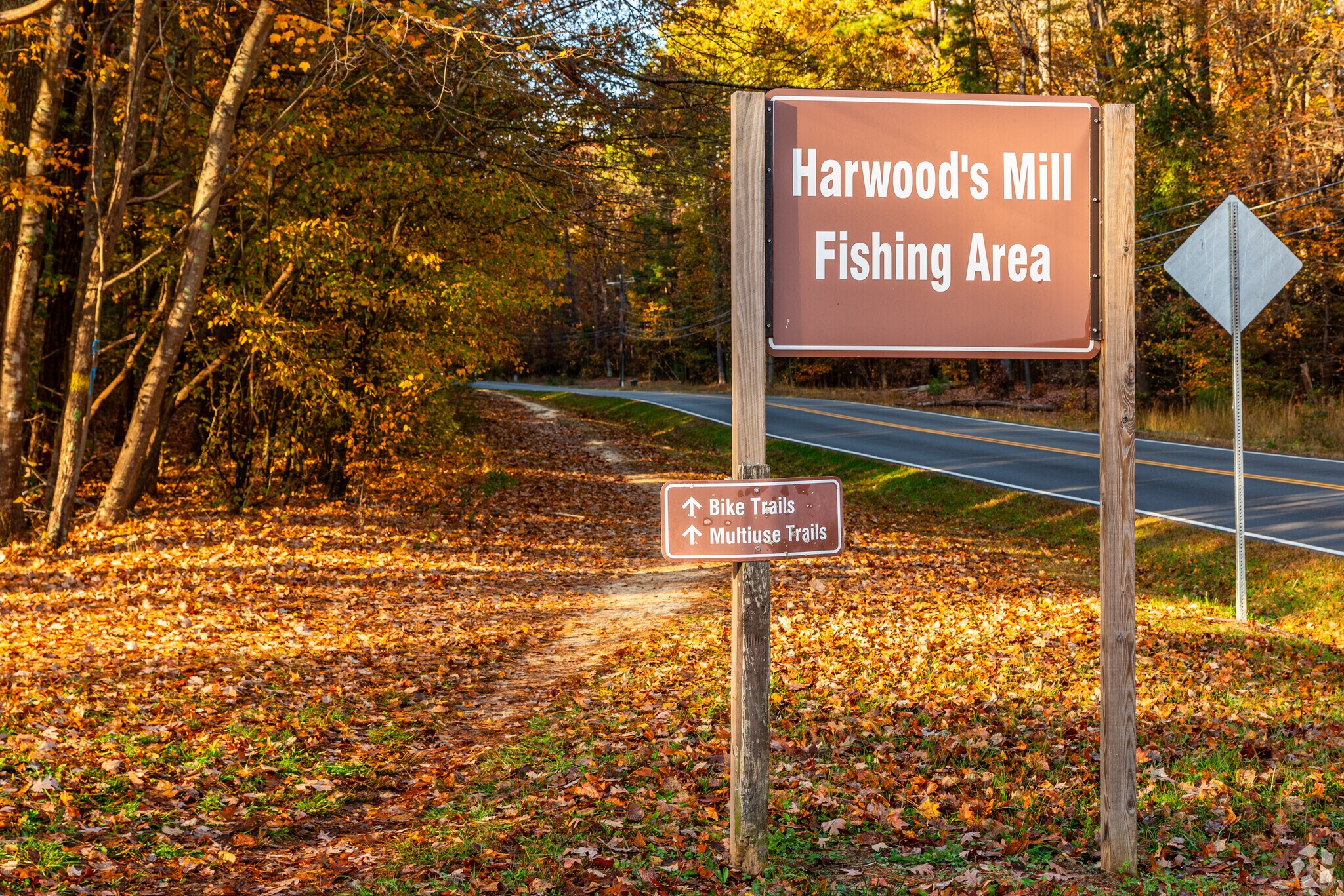 About Poquoson Shores Schools, Demographics, Things to Do