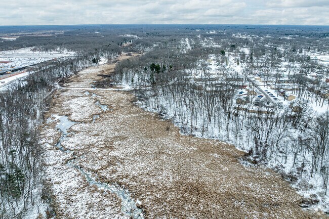 Marquette residents can bird watch or hike along the open marshes of Fourmile Creek.