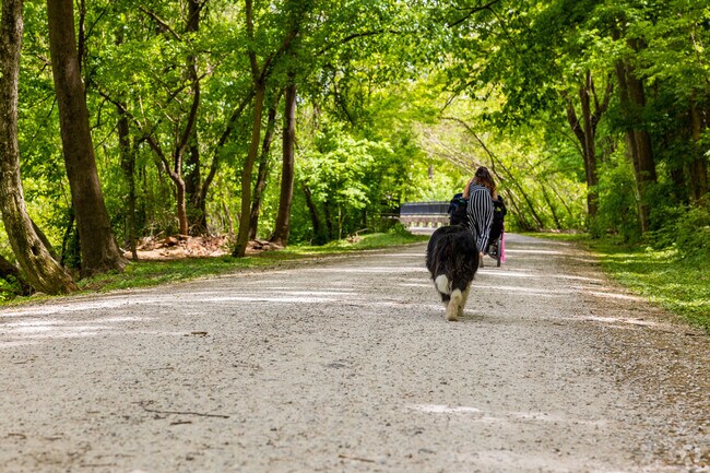 A dog follows it's owner on a walk through Whitecliff Park.