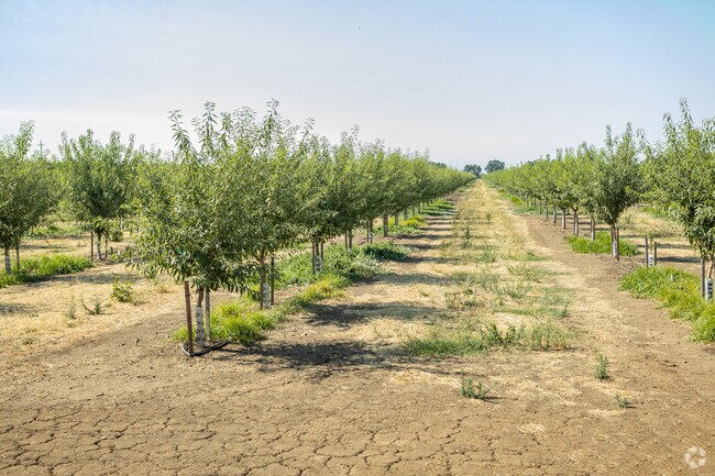 There's plenty of agricultural properties in Durham.
