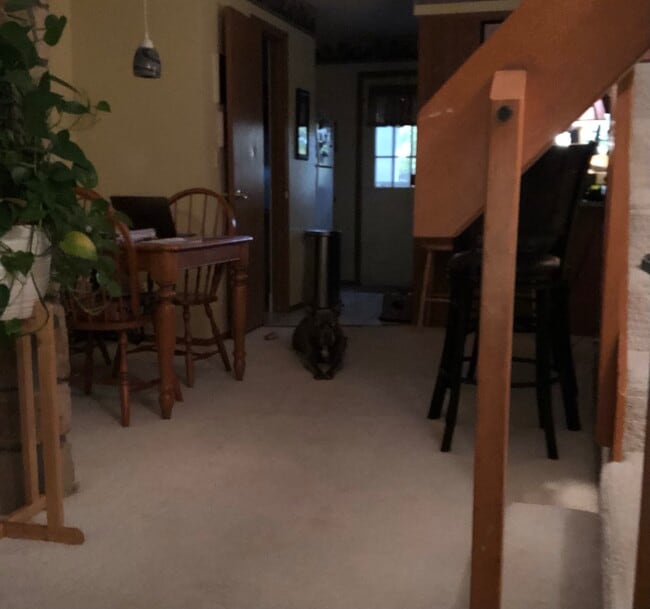 8185 S Fillmore Cir, Centennial, CO 80122 - photo 5