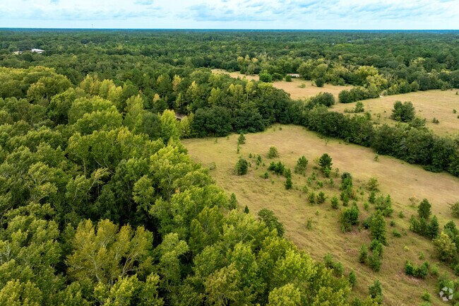 Privateer is a rural neighborhood with plenty of open green spaces.