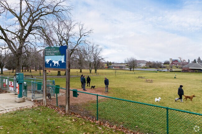 Furry friends enjoy the dog park at Old Settlers Park.