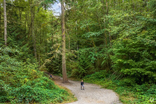 Meadowdale Beach Park offers wooded trails just minutes from Lake Serene.