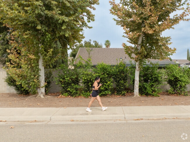 Residents are able to enjoy tree-lined sidewalks in Gustine’s quiet neighborhoods.