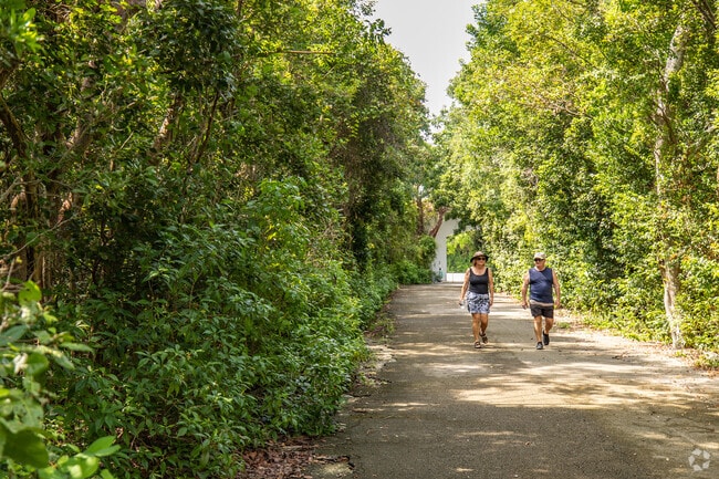 Walk the trails at Dagny Johnson Key Largo Hammock Botanical area in North Key Largo.