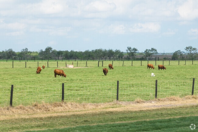 Agriculture and livestock are a way of life for many residents in La Feria, Texas.