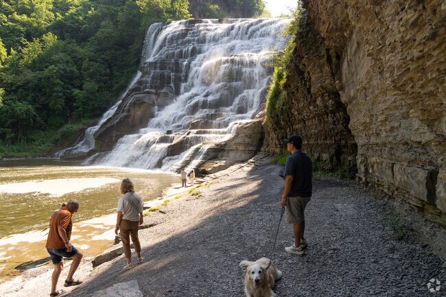Ithaca Falls near Fall Creek has been used to power plaster, oil and woolen mills in the 1800s.