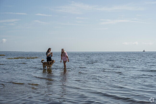 Enjoy panoramic views across the Great South Bay at Gardiner County Park.