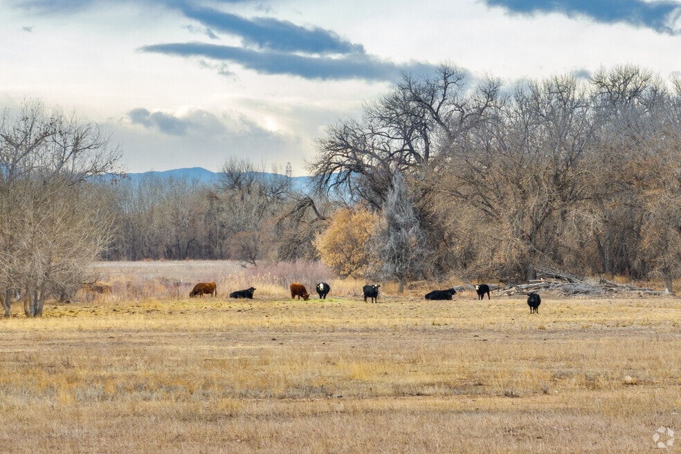 Greeley_1001788_MA_082225_FINAL