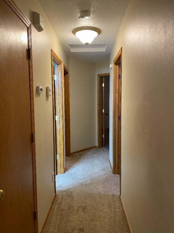 2415 319th Ln NE, Cambridge, MN 55008 - photo 5