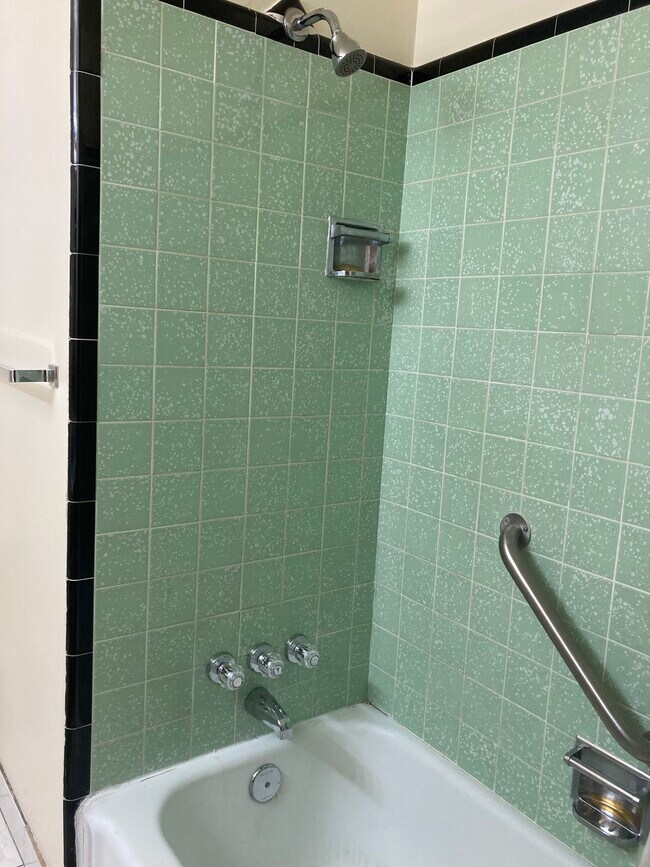 Main bath