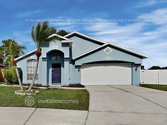 536 Napa Valley Cir, Valrico, FL 33594