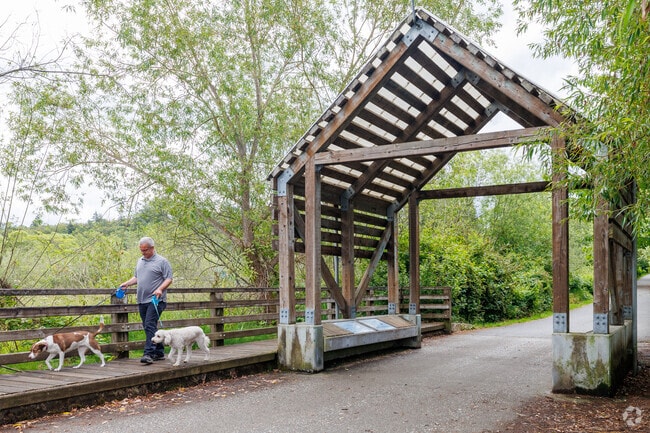 A quiet trail leads into Juanita Bay Park, home to cranes, songbirds, and native plants.