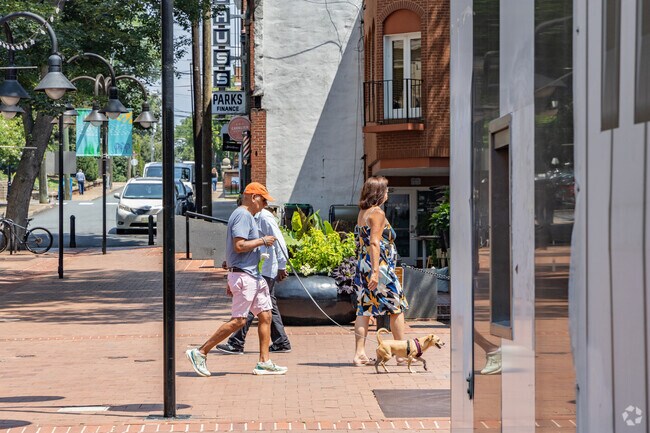 Friends walk their dogs at the Historic Downtown Mall area just outside of Ridge Street.