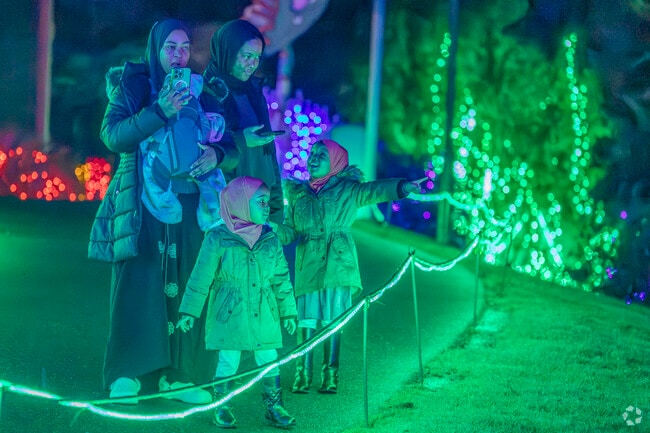 Kids' worlds are lit up by the magic of holiday lights at the Point Defiance Zoo.