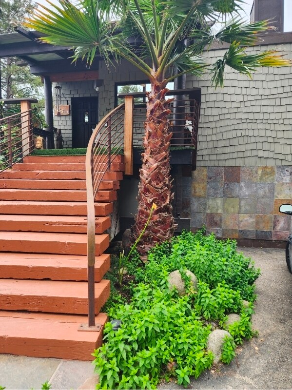 29090 Robinson Cyn Rd, Carmel, CA 93923