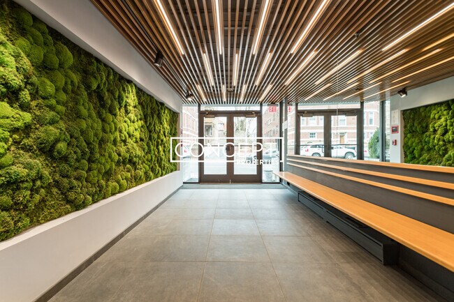 334 Harvard St unit 7, Cambridge, MA 02139 - photo 6