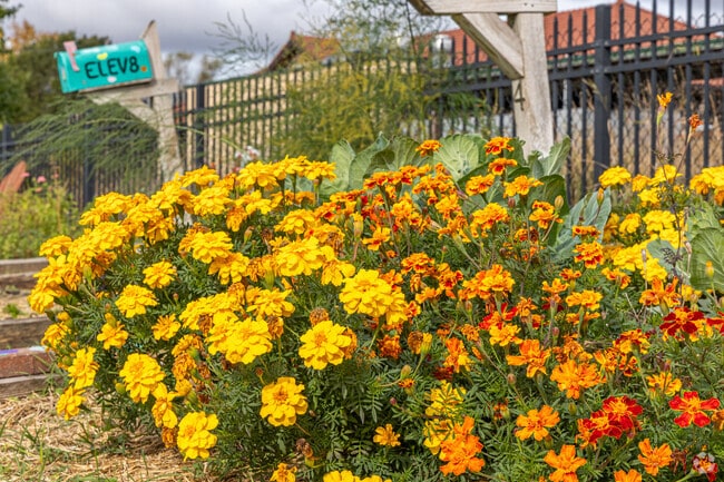 Traverse Heights is home to some beautiful gardens.