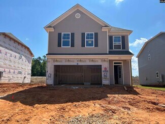 1076 Flat Coat Ln, Chapin, SC 29036