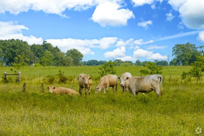 Active farm life lines Highway 90 as it leads into Lockport Heights.