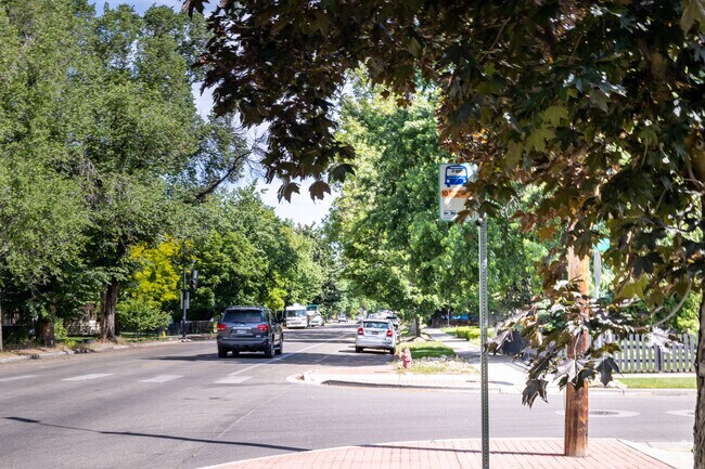 Catch the bus from the Foothills to downtown Boise.